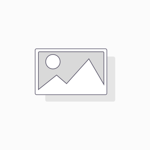 Adhesive Paper Sticker Roll (52X42) Chromo 